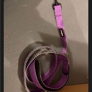 Purple Dog Leash with Black Accents